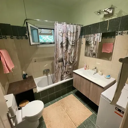 Apartment Viktoria *